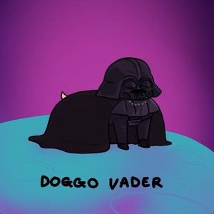 Meet your Posher, Alison